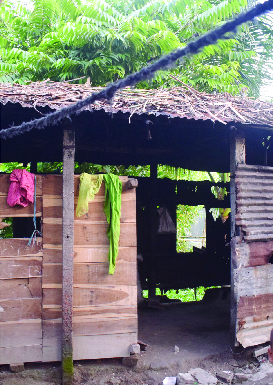 Image of মো: মোহসীন